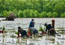 Riau Launches Green Initiative to Boost Climate Action