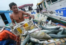 Fish Processing Industry Boosts Jobs in Southeast Sulawesi