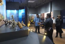 Bojonegoro Geopark Center Showcases Ancient Fossils