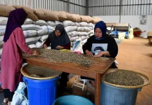 Indonesia Pushes Coffee Industry to Expand in Global Markets
