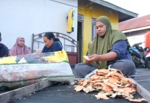 Indonesian Scientists Turn Crab Shell Waste into Battery Separators