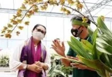 BKSDA Bali Supports Research and Development of Local Orchids