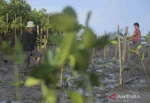 Bali Unveils Climate Assets and Seeks Carbon Investment at ICCBS 2026