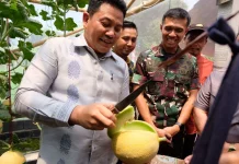 Village in Sidoarjo Launches Smart Farming Hydroponic Melon-Picking Eco-Tourism