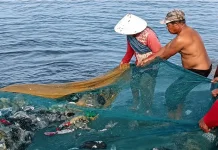 BRIN Turns Discarded Nylon Nets into Nanofibers to Treat Textile Wastewater