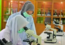Padang Pariaman Prepares Vocational Graduates for Global Jobs