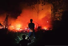 BNPB Highlights Ongoing Forest Fires and Upstream Flooding