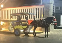 Delman Remains a Viable Traditional Tourist Transport in Purwokerto