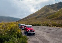 Indonesia Tourism Sector Posts Gains Across Key Indicators