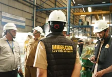 Expert Calls for Screening Foreign Workers to Protect Domestic Employment