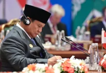 President Prabowo Calls for Stronger BRICS Unity in New Delhi