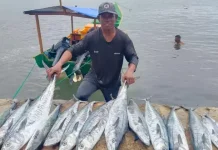 Indonesia’s Fishery Exports Hit USD 3 Billion in First Half of 2026