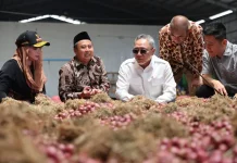 Indonesia Expands Shallot Exports From Brebes to Thailand