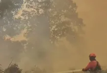 Flights to Kalimantan Delayed as Haze Covers the Island