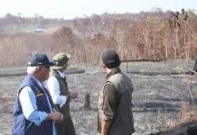 Nusantara Capital Officials Push for More Fire Prevention Patrols
