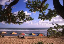 Gunungkidul Boosts Geotourism for 2027 UNESCO Revalidation