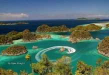 Indonesia Tightens Immigration Action Over Wildlife Violations