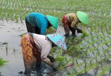 House Pushes New Bill to Address Structural Agrarian Conflicts
