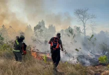 Malaysia Keeps Close Coordination with Indonesia on Haze Response