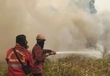 Malaysia Ready to Cooperate with Indonesia on Cross-Border Haze Mitigation
