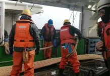 ASEAN Pushes Stronger Cross-Border Protection for Migrant Fishers