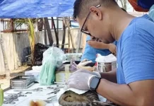 Thousand Islands Vaccinates and Sterilizes 111 Cats