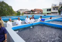 Indonesia Builds Village Fisheries Economy With Mini RAS Program