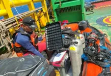 Basarnas Divers Search Wreck of KM Virgo Transport 8
