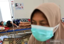 Health Response Expanded as Forest Fires Raise Respiratory Risks