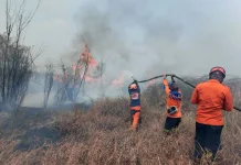 Indonesia Expands Wildfire Prevention Through Fire-Free Clearing