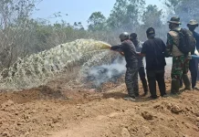 Way Kambas Fires Extinguished with Sumatran Elephants Confirmed Safe