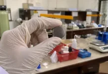 UGM Students Turn Rice Straw Waste into Battery Material