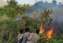 Mount Rinjani Wildfire Burns 977 Hectares, Hiking Trails Closed