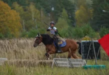 Indonesia Dominates Asian Horseback Archery Championship Ahead of World Cup Prep