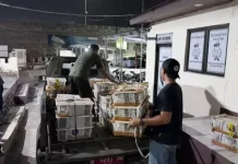Thousands of Undocumented Birds Seized at Bakauheni Port in Lampung