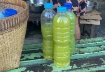 Bali's Loloh Paya Gamongan Gains Popularity as Herbal Drink