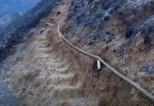 Torean-Senaru Rinjani Trails Closed After Forest Fires