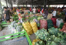 Climate Risks Threaten Indonesia’s Food Supply Chain in 2027