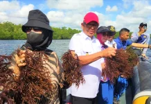 Seaweed Pushed to Drive Coastal Blue Economy in Southeast Maluku