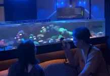Indonesian Reefer's Coral Studio Offers Underwater Tourism Experience