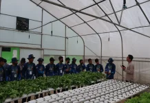 Indonesia Eyes Global Agricultural Jobs Through New Worker Development Program