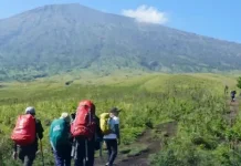 Mount Rinjani Senaru Trail Reopens After Forest Fire Closure