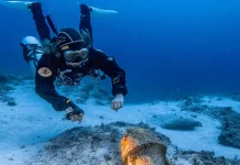 Indonesia Hosts CMAS Underwater Photography World Championship 2026