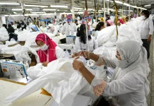 PPPA Minister Seeks Stronger Safeguards in Labor Protection Legislation