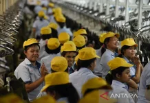 Bill on Labor Protection Includes Social Security Measures