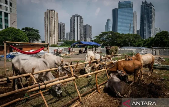 Ramadan Festival 2026 Marks Launch of New 'Qurban Asyik' App