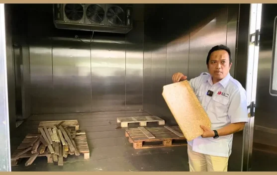 BRIN Introduces Lightweight Biomass Composite Roof Tiles for Safer Housing