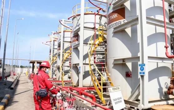 ESDM Minister Addresses Uncalculated Energy Subsidy for 2026