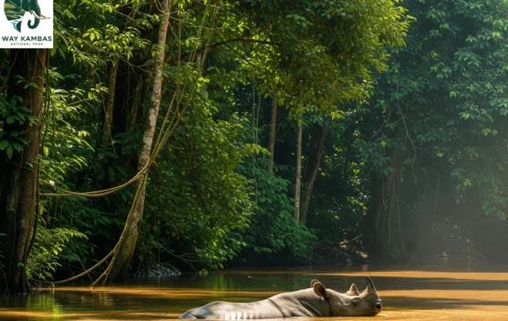 Govt Develops Innovative Funding Scheme for National Park Management