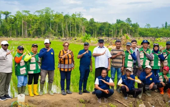 Komnas HAM Urges Protection of Indigenous Rights in Papua's "Cetak Sawah" Program